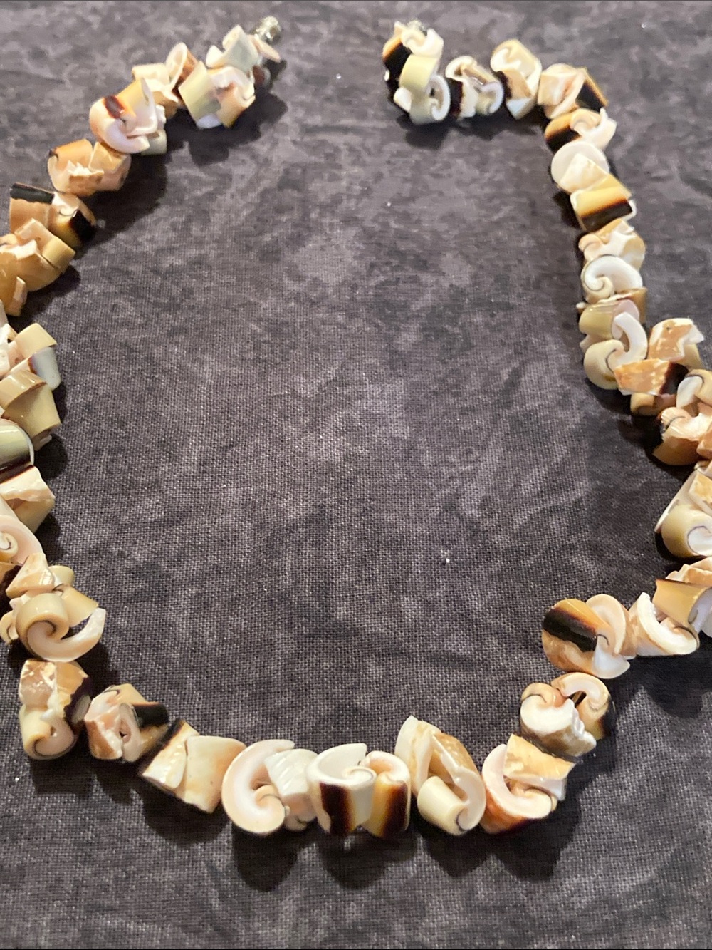 Boho Natural Shell Bead Necklace in Cream and Brown